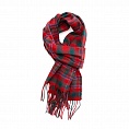 картинка Clans of Scotland MacAlister от магазина  Mykilt